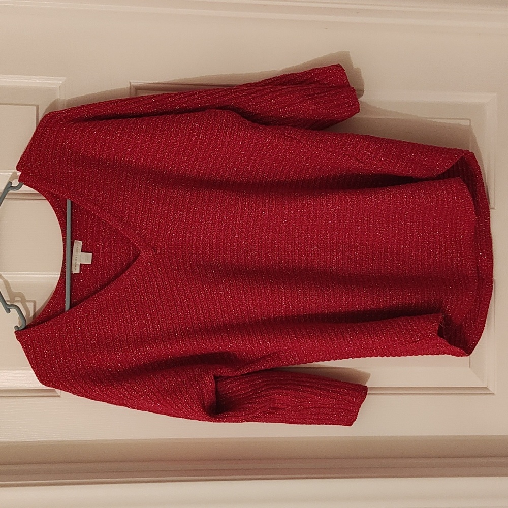 New York & Company Sweater